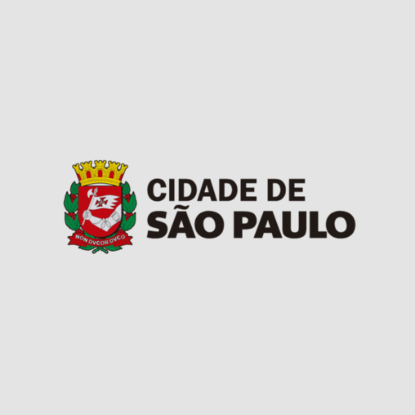 Cidade de São Paulo